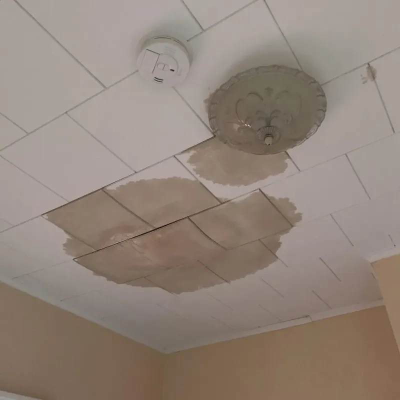 Ceiling Water Damage Repair in Westfield, NY