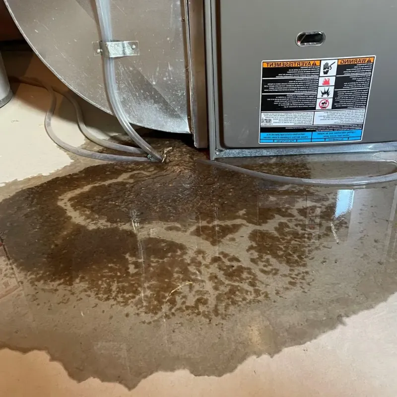 Pipe Burst and Leak Restoration in Westfield, NY